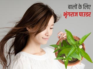 झड़ते-टूटते बेजान बालों में नई जान लाएगा भृंगराज पाउडर, जाने इस्तेमाल का तरीका