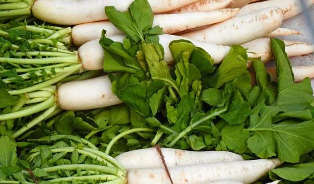 radish in hindi