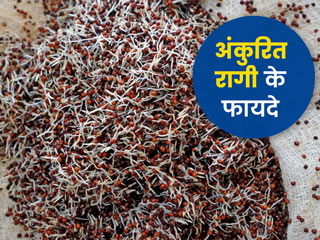 अंकुरित रागी खाने के फायदे: अंकुरित रागी खाने के हैं ये 7 स्वास्थ्य लाभ, जानें इसे खाने का तरीका