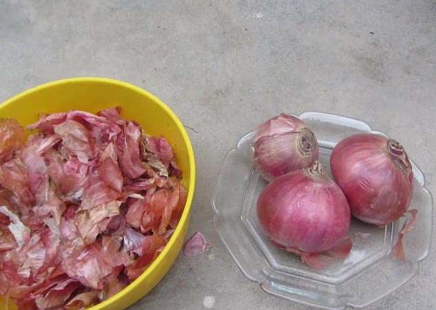 onion shampoo