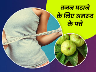 वजन घटाने में फायदेमंद हैं अमरूद की पत्तियां, इस तरह करें सेवन