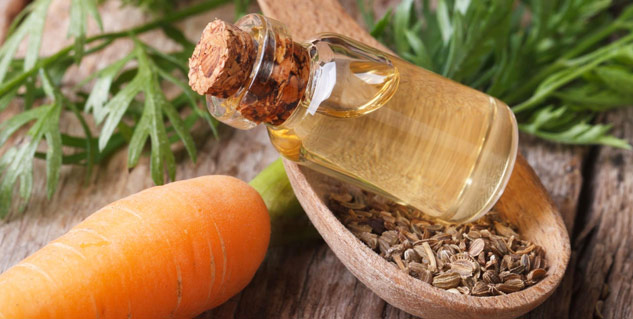 carrot seed oil for skin