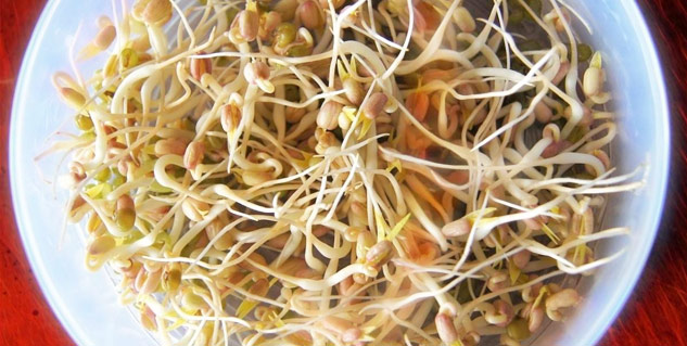 sprouted-wheat