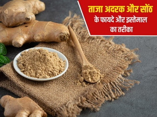 ताजा अदरक और सोंठ में कौन है ज्यादा फायदेमंद? एक्सपर्ट से जानें किसका इस्तेमाल कब करें