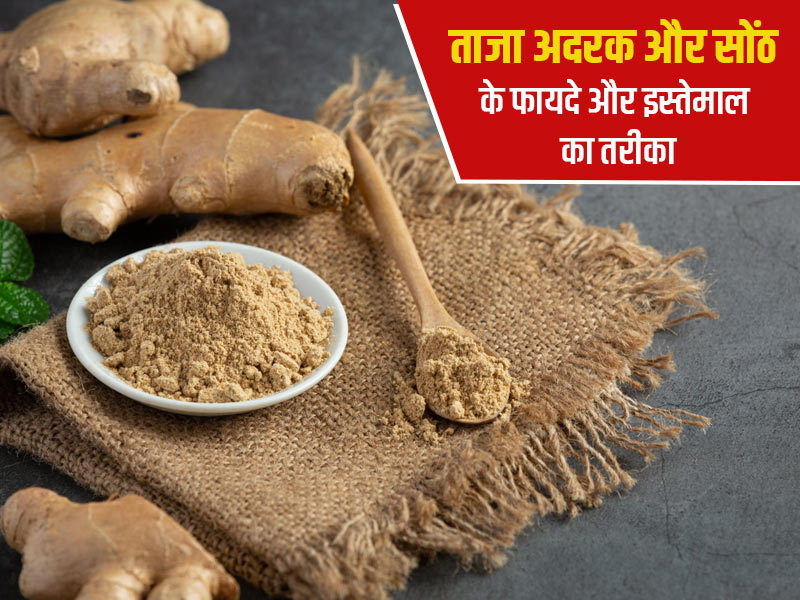 ताजा अदरक और सोंठ में कौन है ज्यादा फायदेमंद? एक्सपर्ट से जानें किसका इस्तेमाल कब करें