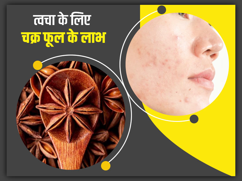 त्वचा के लिए चक्र फूल के लाभ: एक्ने से हैं परेशान तो इन 5 तरीकों से इस्तेमाल करें चक्र फूल 