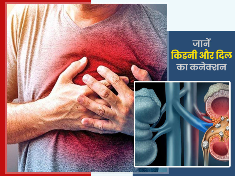 किडनी की समस्या कैसे डालती है आपके दिल के स्वास्थ्य पर असर? एक्सपर्ट से जानें दोनों में कनेक्शन