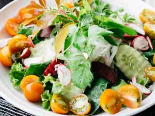 Green Salad Benefits: सेहतमंद रहने के लिए जरूर खाएं ग्रीन सलाद, जानें बनाने का तरीका
