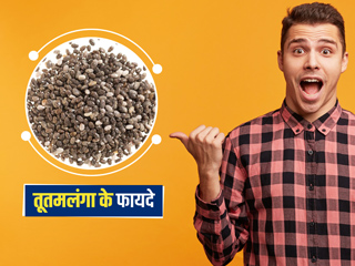 तूतमलंगा या तुकमलंगा है सेहत के लिए बहुत फायदेमंद औषधि, जानें इसके फायदे और नुकसान