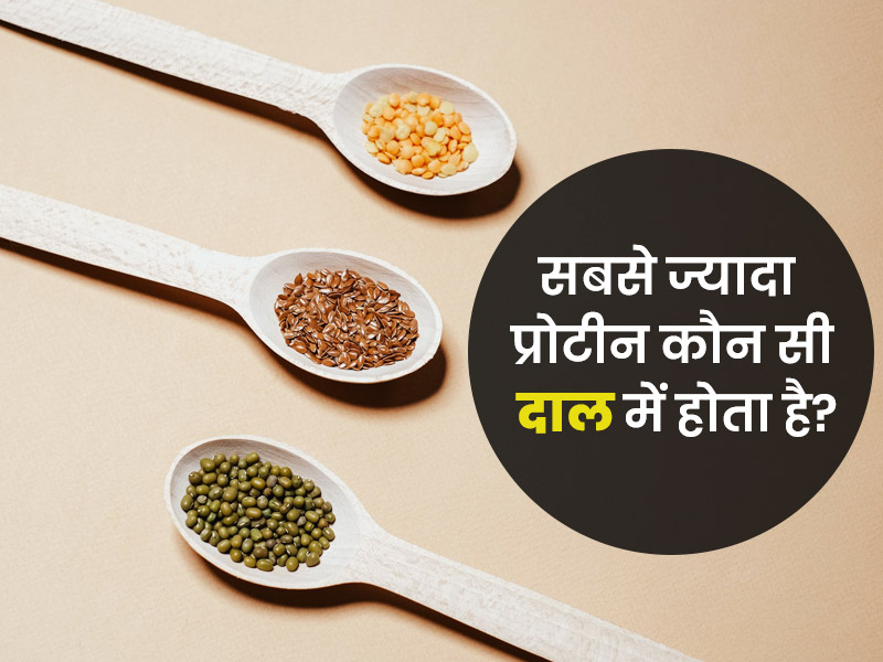 सबसे ज्यादा प्रोटीन कौन सी दाल में होता है? जानें सबसे अधिक प्रोटीन वाली हेल्दी दालें