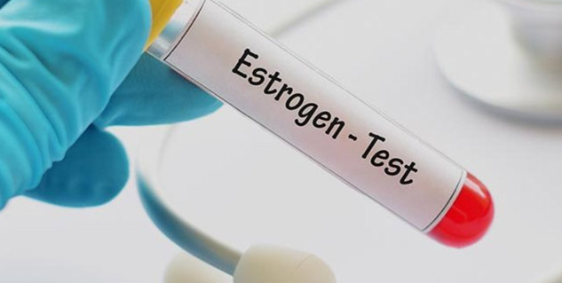 Inside_estrogentest