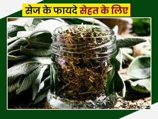 सेज (Sage) है सेहत के लिए इन 7 तरीकों से फायदेमंद है, जानें इस्तेमाल का तरीका