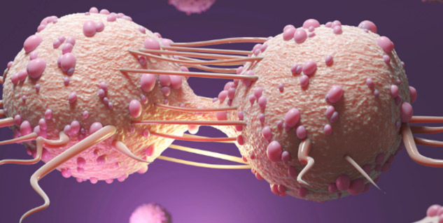 Malignant-Tumour-Prevention