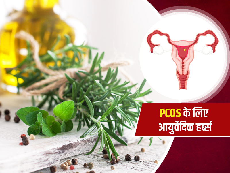 PCOS (पीसीओएस) में महिलाओं के लिए फायदेमंद हैं ये 5 जड़ी-बूटियां, हार्मोन्स को करती हैं संतुलित