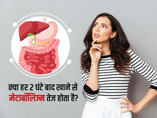 क्या हर 2 घंटे में कुछ न कुछ खाते रहने से तेज होता है मेटाबॉलिज्म? जानें एक्सपर्ट का राय