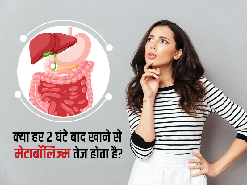 क्या हर 2 घंटे में कुछ न कुछ खाते रहने से तेज होता है मेटाबॉलिज्म? जानें एक्सपर्ट का राय