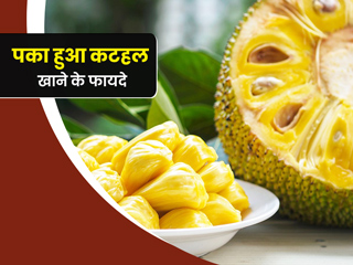 पके कटहल खाने के फायदे : इस 6 लोगों को जरूर खाना चाहिए पके हुए कटहल, जानें इसे खाने के फायदे