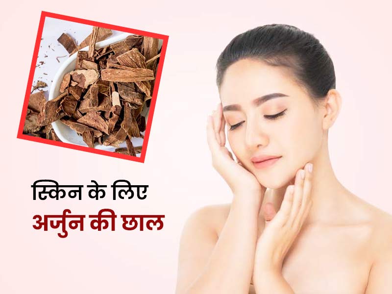चेहरे पर अर्जुन की छाल का पाउडर लगाने से दूर होती हैं ये 5 समस्याएं, जानें इस्तेमाल का तरीका 
