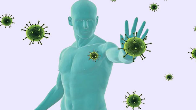 Olive-Leaves-Health-Benefits