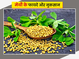 मेथी के फायदे और नुकसान: जानें मेथी के दाने आपकी सेहत के लिए कितने फायदेमंद हैं
