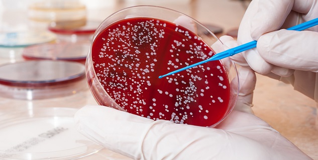 Stem-Cell-Donation-in-Cancer