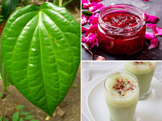 गर्मियों में पिएं पान और गुलकंद से बना ये स्पेशल शरबत, शरीर को मिलेगी ठंडक और आएगी ताजगी