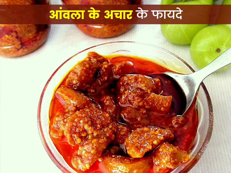 वात, पित्त और कफ दोष (त्रिदोष) को संतुलित करता है आंवले का अचार, एक्सपर्ट से जानें कई अन्य फायदे