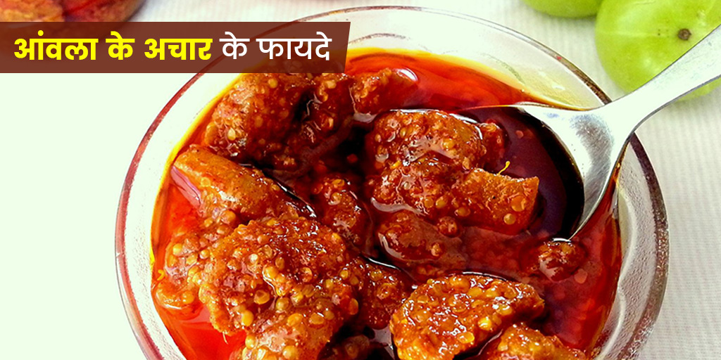 आंवला के अचार के फायदे वात, पित्त, कफ (त्रिदोष) को करता है बैलेंस