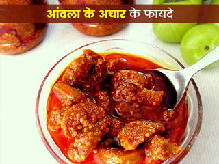 वात, पित्त और कफ दोष (त्रिदोष) को संतुलित करता है आंवले का अचार, एक्सपर्ट से जानें कई अन्य फायदे