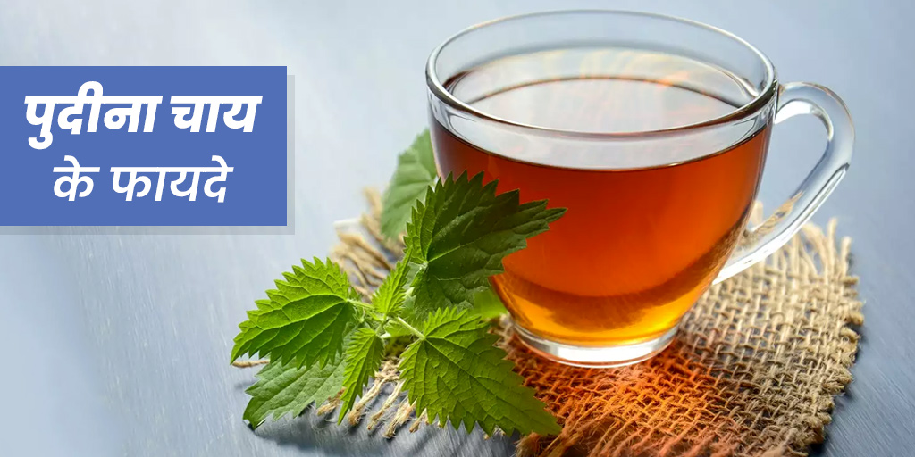 रात को पुदीने की चाय पीने के 4 फायदे Mint Tea Benefits in Hindi at