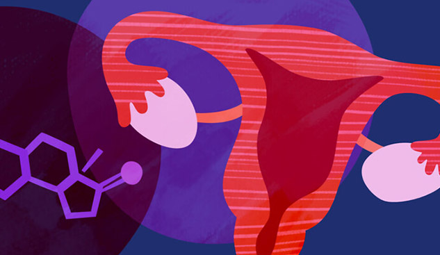 estrogen hormone in hindi 