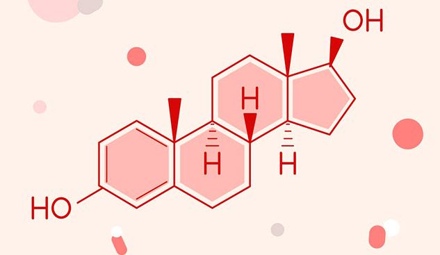 estrogen hormone