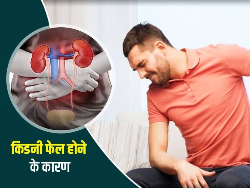 किडनी खराब होने का कारण बन सकती हैं ये 4 बातें, जानें क्या होते हैं इसके शुरुआती लक्षण