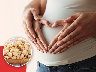 प्रेगनेंसी के दौरान चिलगोजे (पाइन नट्स) खाने से मिलते हैं कई फायदे, एक्सपर्ट से जानें सेवन का तरीका