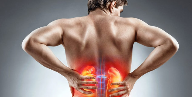 Side-Effects-of-Mushroom-for-Kidney-Disease