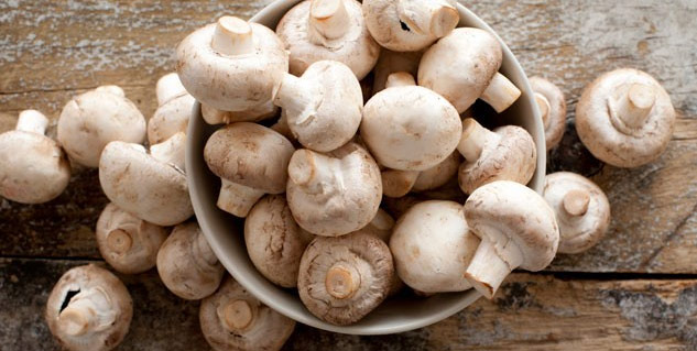 Side-Effects-of-Mushroom-for-Kidney-Disease