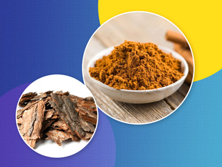 इन 6 समस्याओं में फायदेमंद होती है खदिर (खैर) की छाल, जानें उपयोग का तरीका