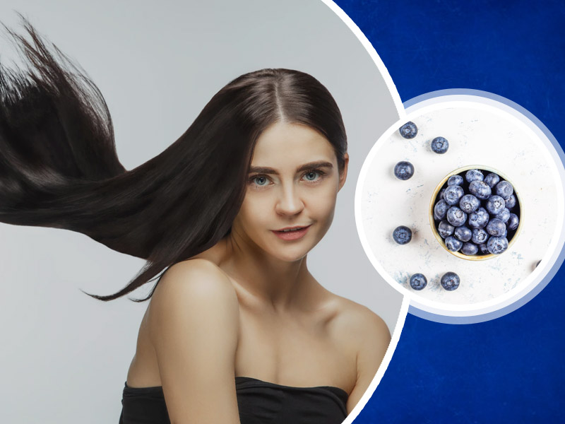 बालों के लिए ब्लैक करेंट सीड ऑयल के फायदे | Black Currant Seed Oil for Hair  Growth in Hindi