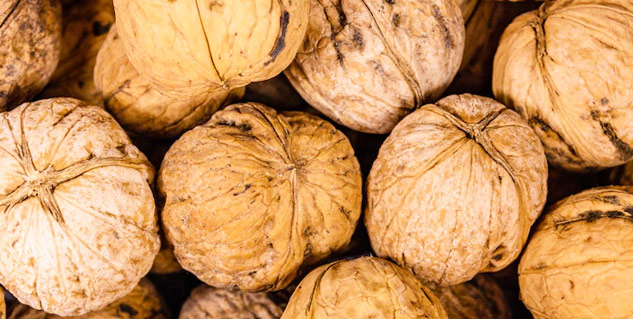 walnut
