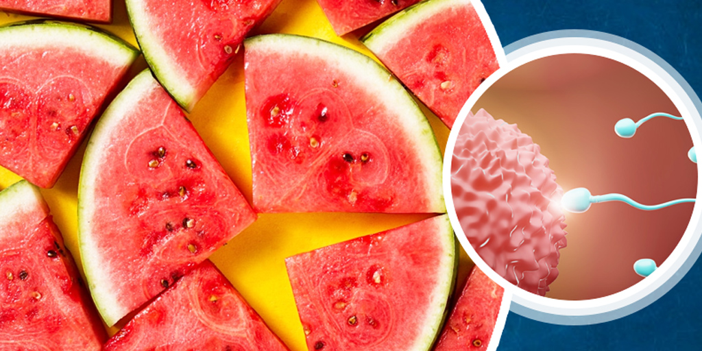 स्पर्म काउंट बढ़ाने के लिए तरबूज के बीज, जानें सेवन का तरीका