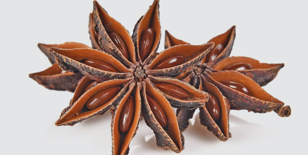 star flower