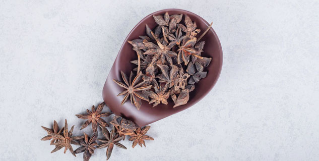 star anise flower 