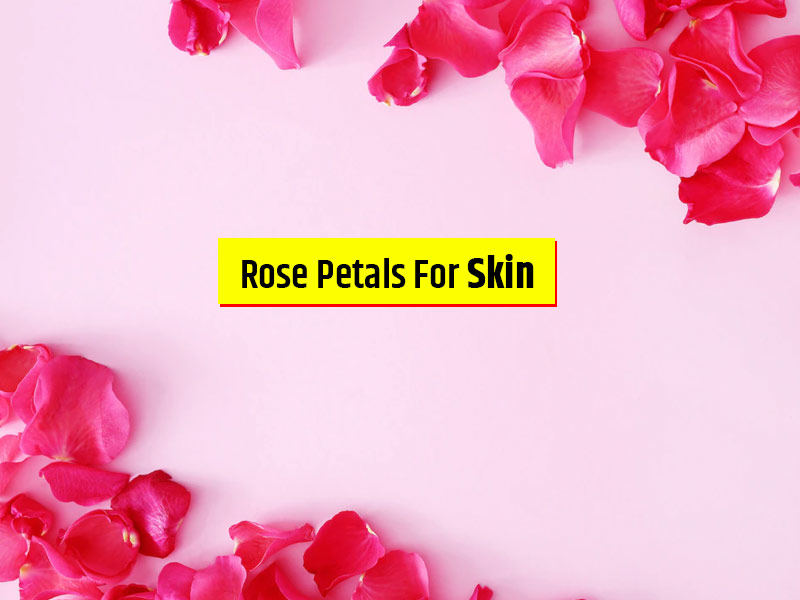 Why Use Rose Petals For Face? Read Benefits and Uses
