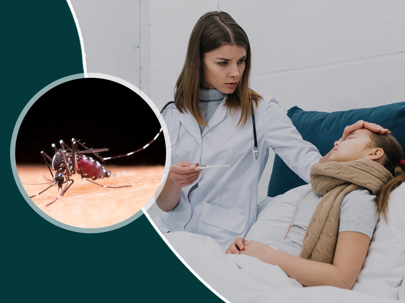 डेंगू के मच्छर (एडीज) के काटने के कितने दिन बाद नजर आते हैं इसके लक्षण, जानें कैसे करें बचाव