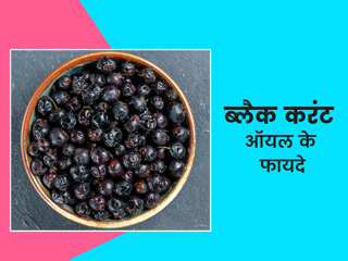 कोलेस्ट्रॉल, ब्लड प्रेशर जैसी इन 7 बीमारियों को दूर करे ब्लैक करंट सीड ऑयल, जानें इस्तेमाल का तरीका