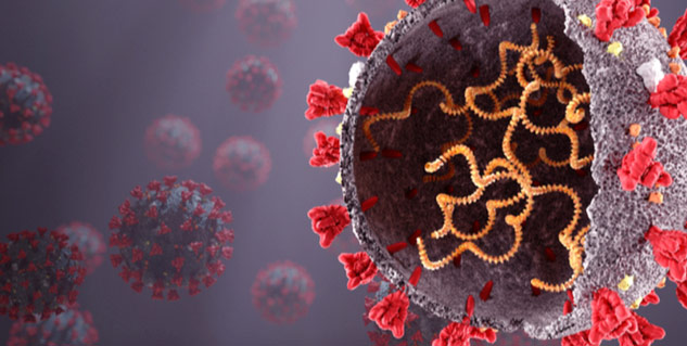 Coronavirus-in-India