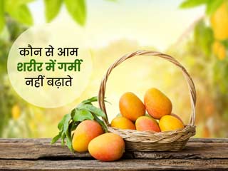 क्या सभी आम की तासीर गर्म होती है? जानें कौन से आम शरीर में गर्मी नहीं बढ़ाते, कैसे चुनें सही आम