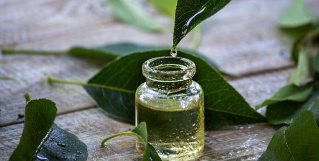 tea tree oil