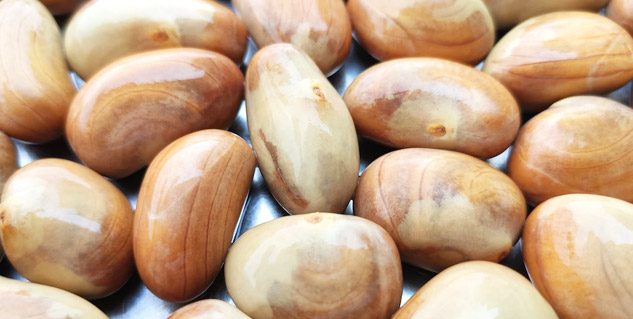 jackfruit-seeds-pregnancy