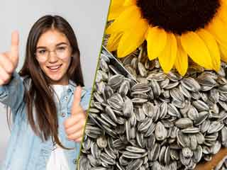 महिलाओं के लिए बहुत फायदेमंद है सूरजमुखी के बीज, जानें सेवन का तरीका